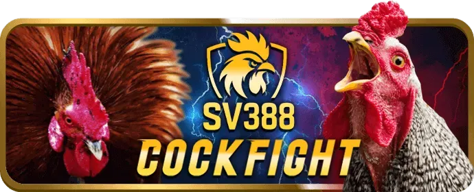 Khuyến mãi nạp lại hàng ngày 32win bet
